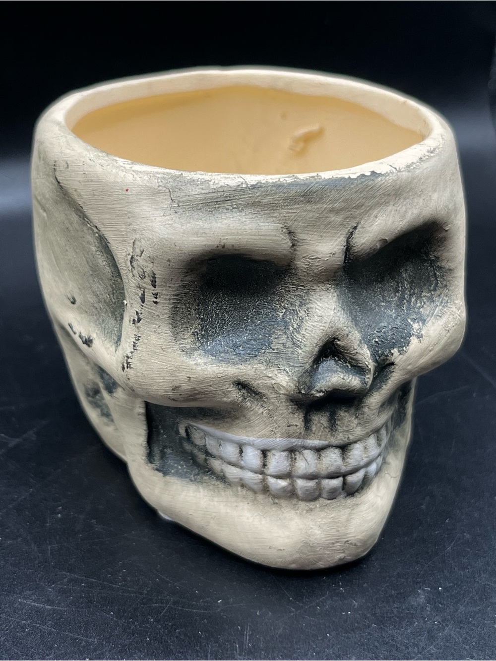 Skull Ceramic Planter - Bone White Decorative Pot